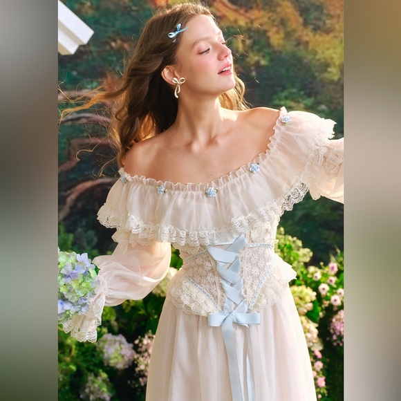 Lacemade Hydrangea Corset and Dress BNWT - Picture 16 of 16